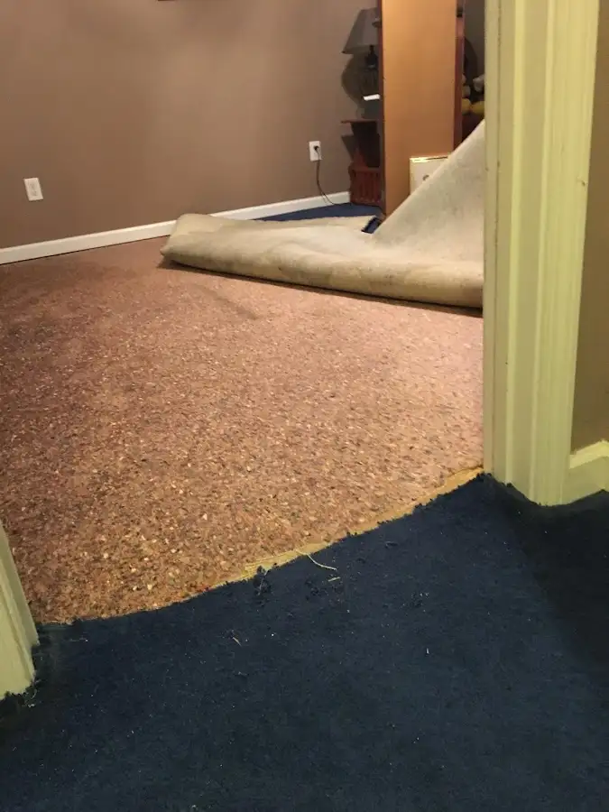 Carpet pad removal revealing water damage during Water Mitigation Services in Folcroft